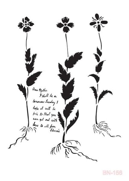 BN156 25x35 Cadence BN Serisisi Stencil