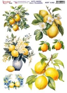 Koyu Zemin Sulu Transfer Kağıdı 25x35cm KST-132 Limon