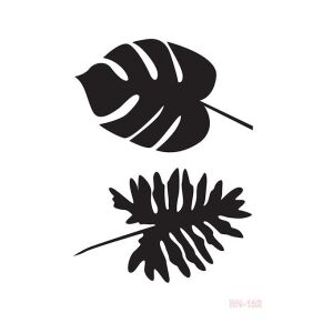 Cadence 25x35 BN Serisisi Stencil BN-152