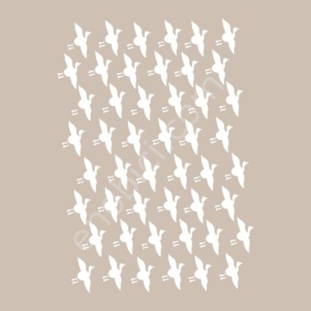 BN05 25x36 Cadence BN Serisisi Stencil