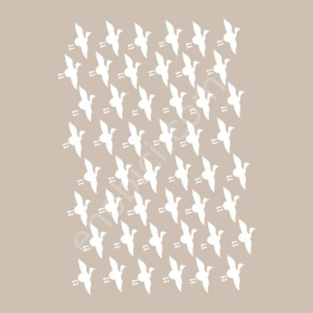 BN05 25x36 Cadence BN Serisisi Stencil