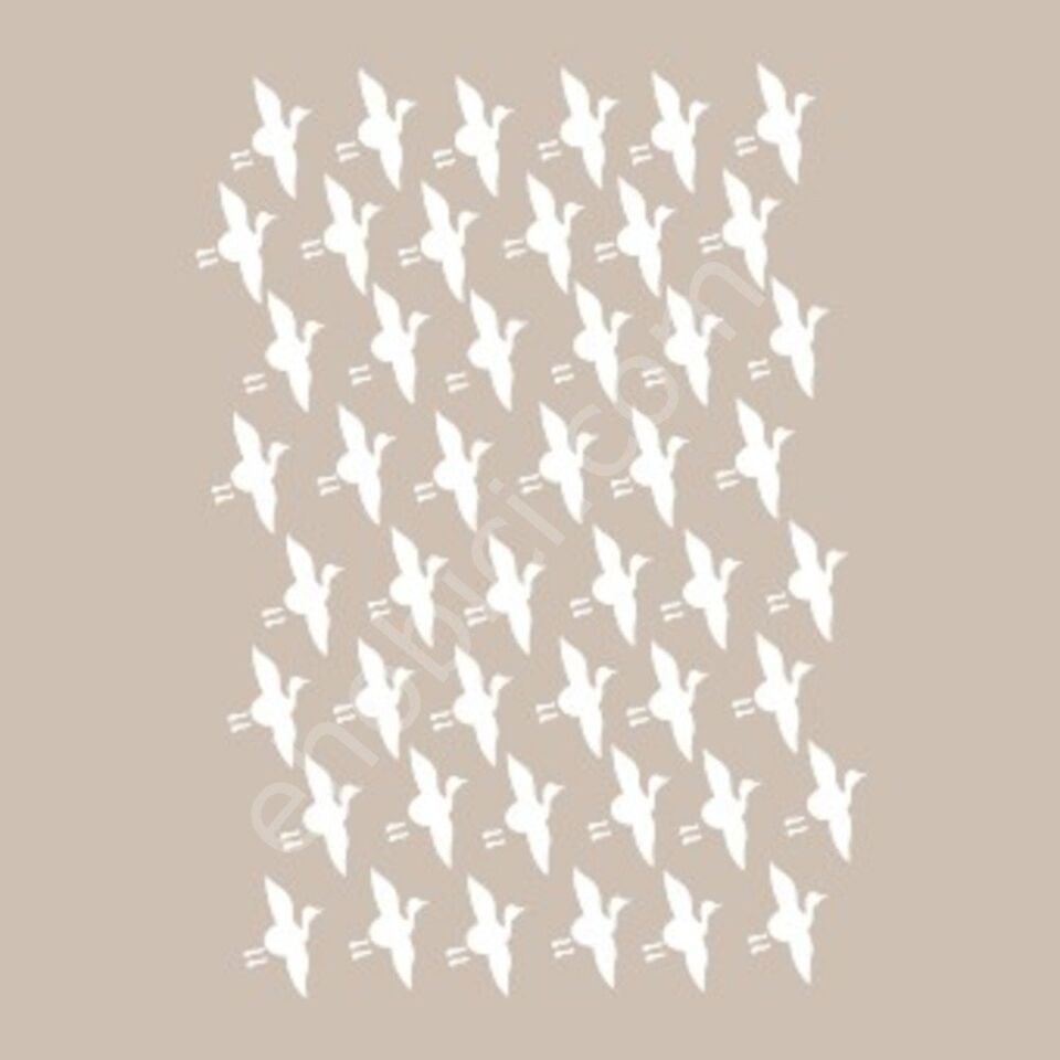 BN05 25x36 Cadence BN Serisisi Stencil