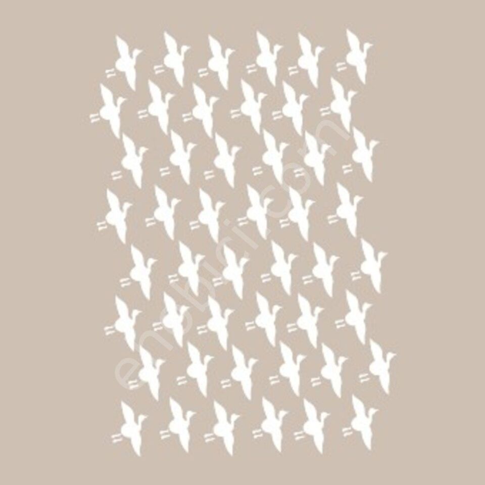 BN05 25x36 Cadence BN Serisisi Stencil