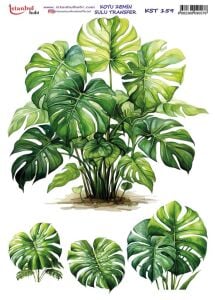 Koyu Zemin Sulu Transfer Kağıdı 25x35cm KST-159 Yaprak