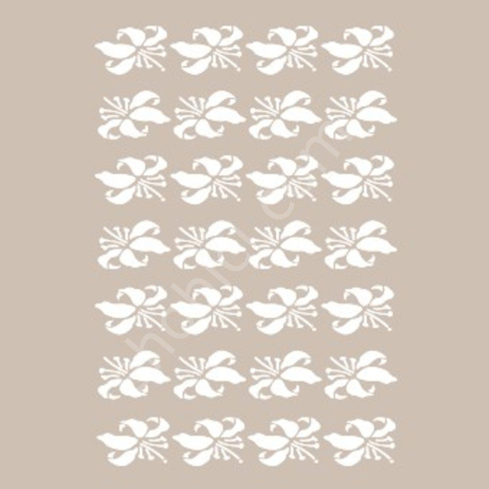 BN33 25x36 Cadence BN Serisisi Stencil