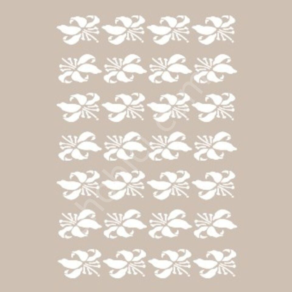 BN33 25x36 Cadence BN Serisisi Stencil