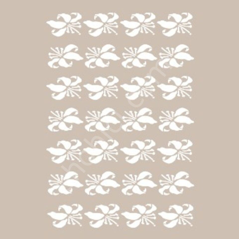 BN33 25x36 Cadence BN Serisisi Stencil