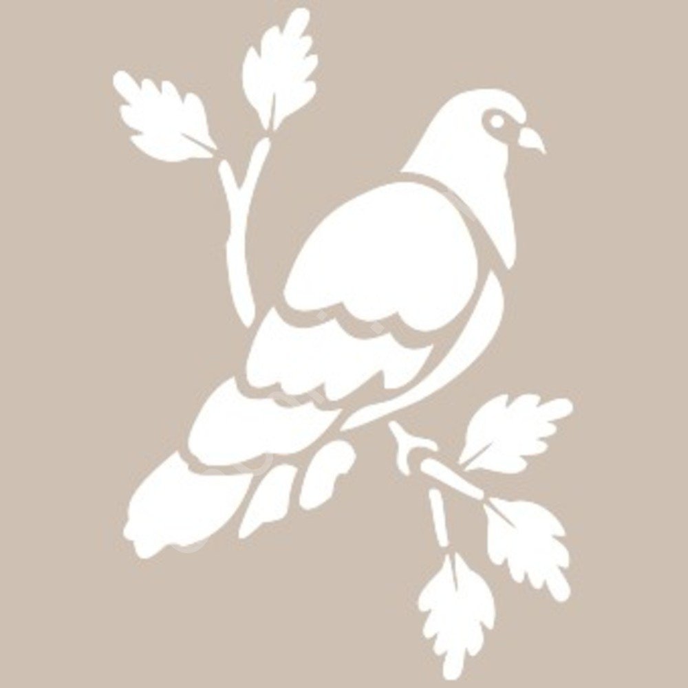 BN42 25x36 Cadence BN Serisisi Stencil