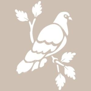 BN42 25x36 Cadence BN Serisisi Stencil