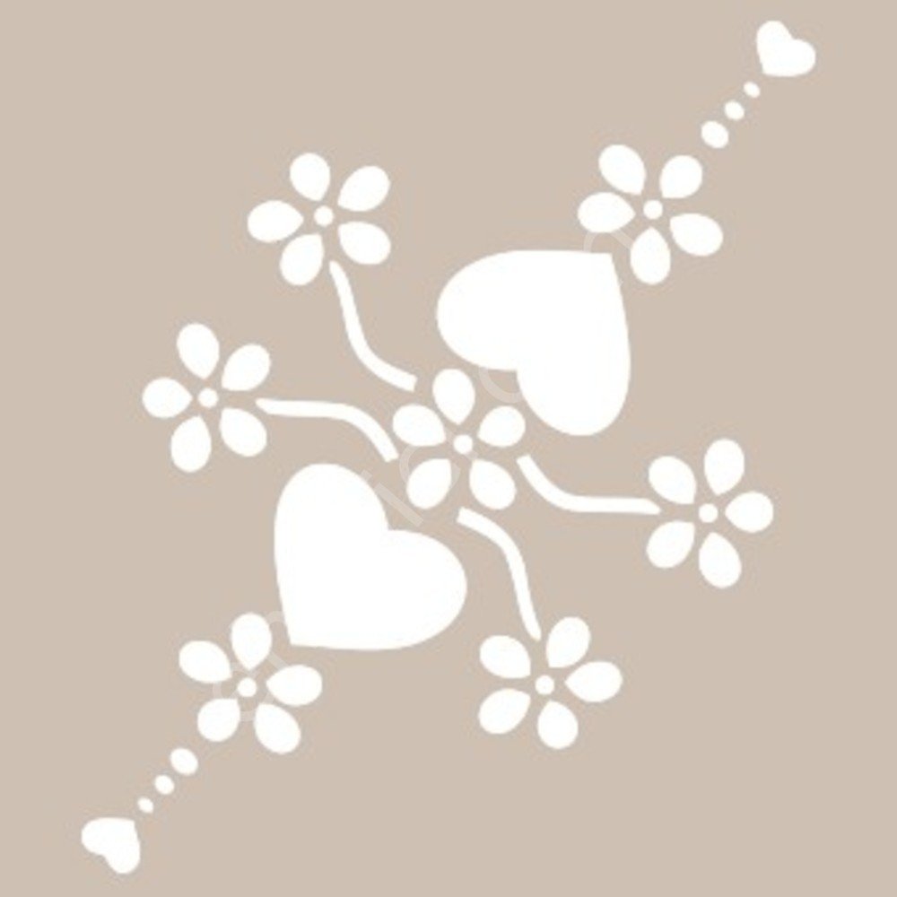 BN44 25x36 Cadence BN Serisisi Stencil