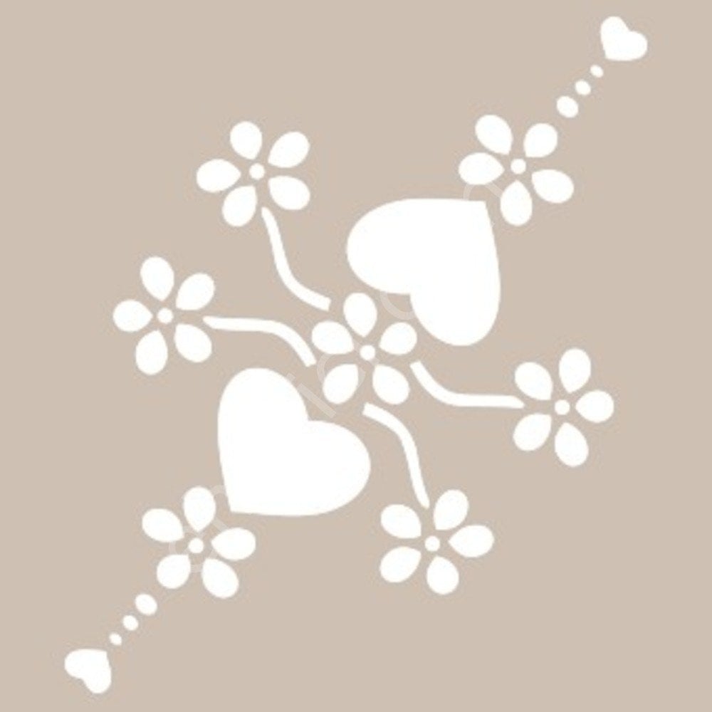 BN44 25x36 Cadence BN Serisisi Stencil