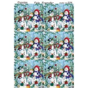 Model 224 - Tela Transfer