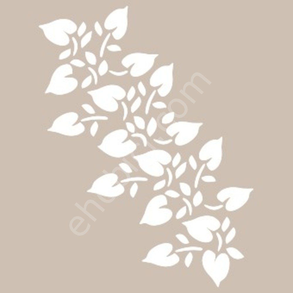 BN60 25x36 Cadence BN Serisisi Stencil