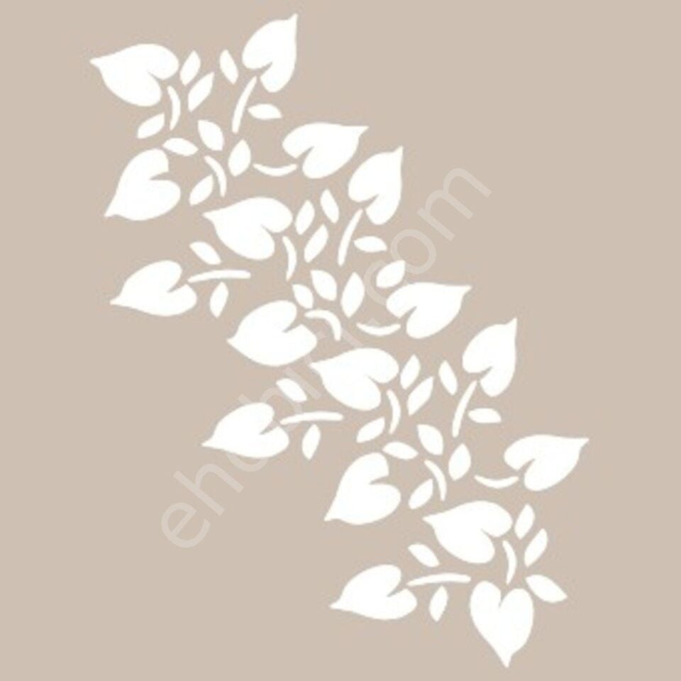 BN60 25x36 Cadence BN Serisisi Stencil