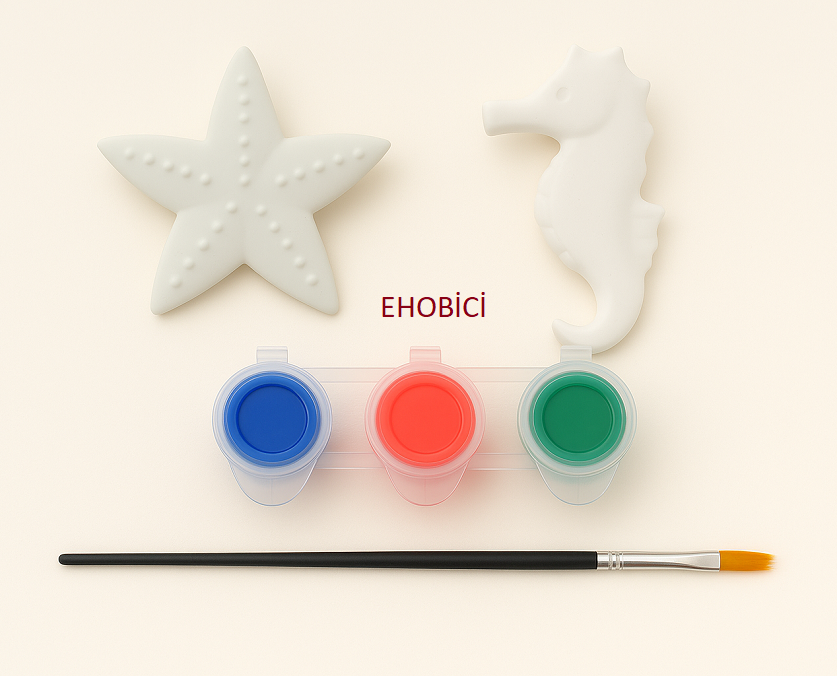Ehobici Taş Boyama Seti Deniz Yıldızı ve Deniz Atı 3 Renk Akrilik Boya 5ml + Fırça