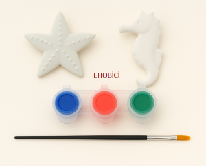 Ehobici Taş Boyama Seti Deniz Yıldızı ve Deniz Atı 3 Renk Akrilik Boya 5ml + Fırça