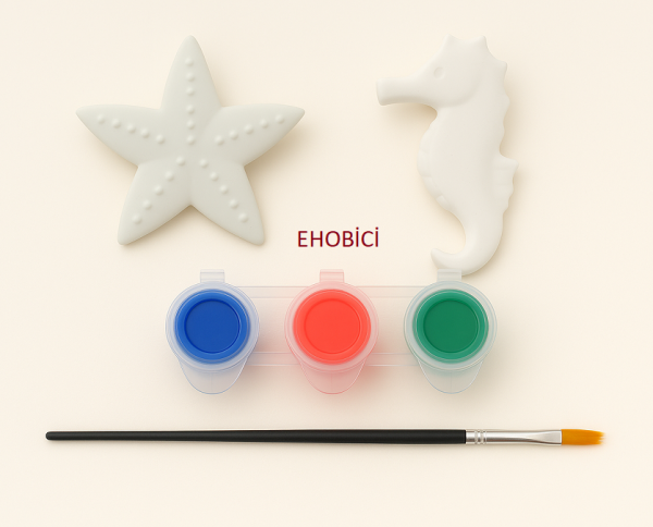 Ehobici Taş Boyama Seti Deniz Yıldızı ve Deniz Atı 3 Renk Akrilik Boya 5ml + Fırça