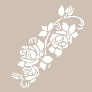 BN74 25x36 Cadence BN Serisisi Stencil