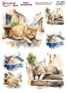 Sulu Transfer Kağıdı 25x35cm ST-1600