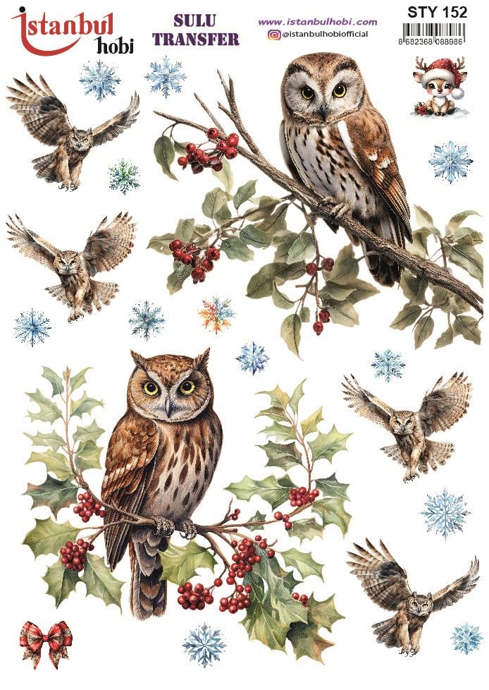 Yılbaşı Sulu Transfer 25x35cm STY152