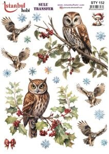 Yılbaşı Sulu Transfer 25x35cm STY152