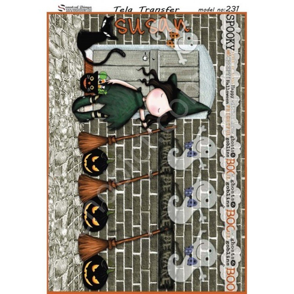 Model 231 - Tela Transfer