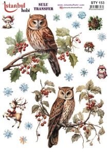 Yılbaşı Sulu Transfer 25x35cm STY153