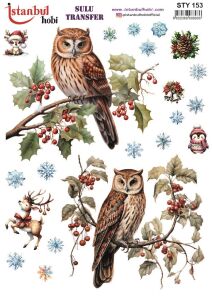 Yılbaşı Sulu Transfer 25x35cm STY153