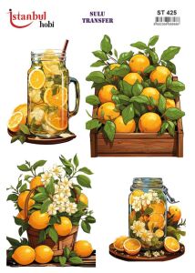 Sulu Transfer Kağıdı 25x35cm ST-425