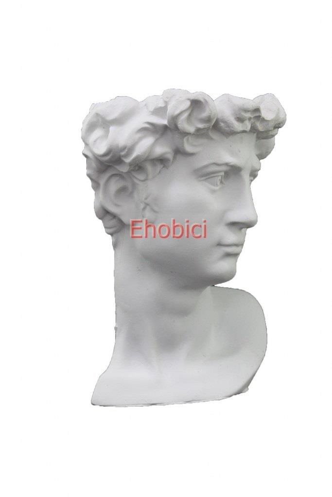 Polyester David Saksı D69 24x18cm