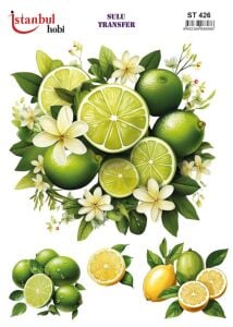 Sulu Transfer Kağıdı 25x35cm ST-426