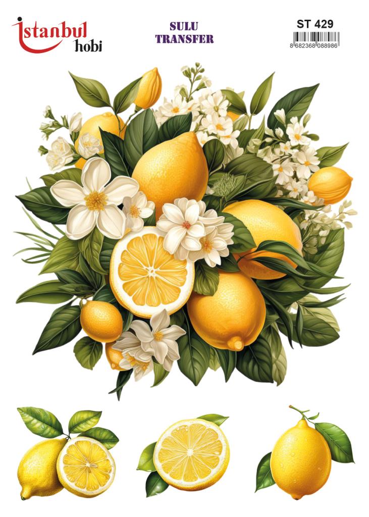 Sulu Transfer Kağıdı 25x35cm ST-429