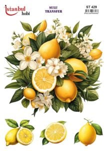 Sulu Transfer Kağıdı 25x35cm ST-429