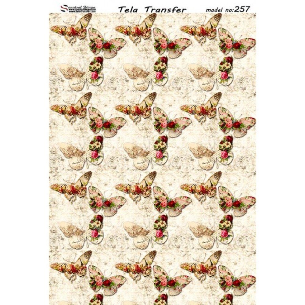 Model 257 - Tela Transfer