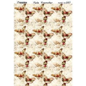 Model 257 - Tela Transfer