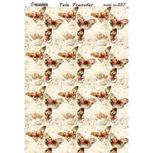 Model 257 - Tela Transfer