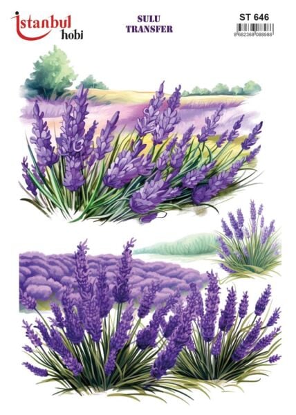 Sulu Transfer Kağıdı 25x35cm ST-646