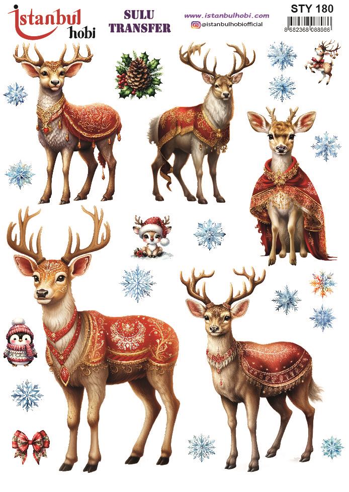 Yılbaşı Sulu Transfer 25x35cm STY180
