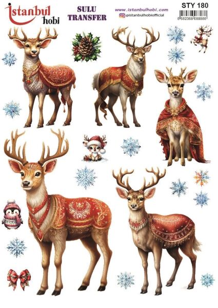 Yılbaşı Sulu Transfer 25x35cm STY180