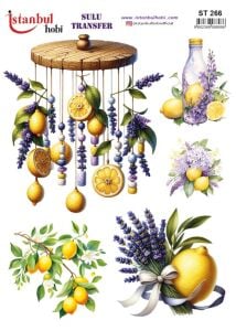 Sulu Transfer Kağıdı 25x35cm ST-266