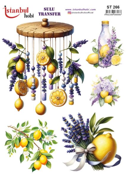 Sulu Transfer Kağıdı 25x35cm ST-266