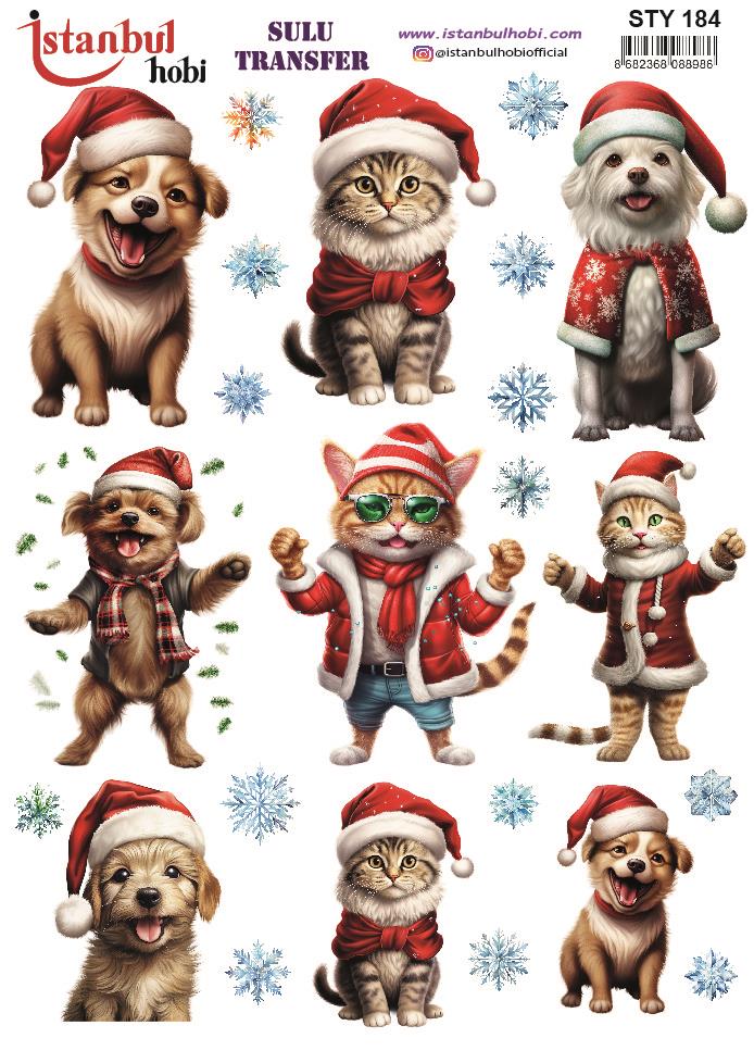 Yılbaşı Sulu Transfer 25x35cm STY184