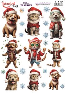 Yılbaşı Sulu Transfer 25x35cm STY184