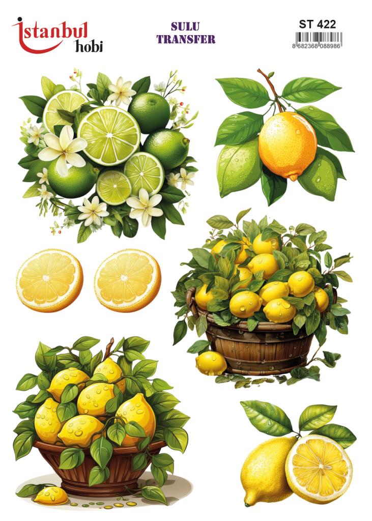 Sulu Transfer Kağıdı 25x35cm ST-422