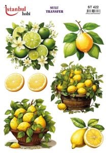 Sulu Transfer Kağıdı 25x35cm ST-422