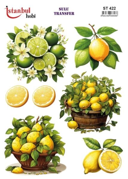 Sulu Transfer Kağıdı 25x35cm ST-422