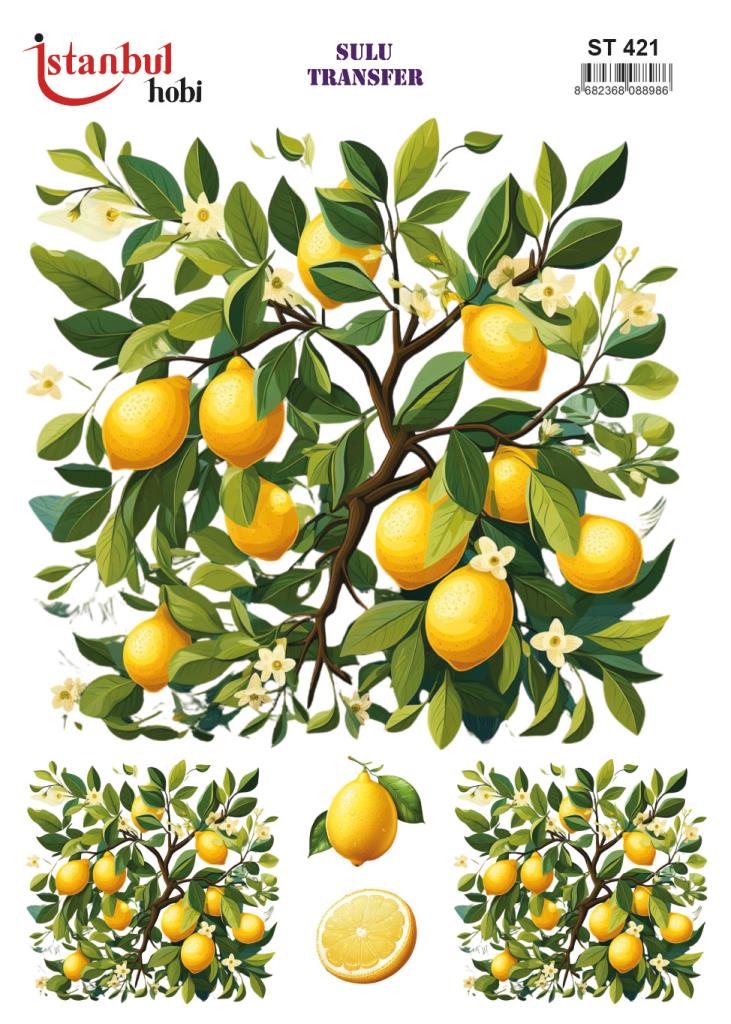 Sulu Transfer Kağıdı 25x35cm ST-421