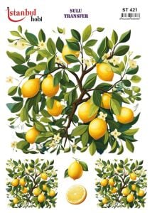 Sulu Transfer Kağıdı 25x35cm ST-421