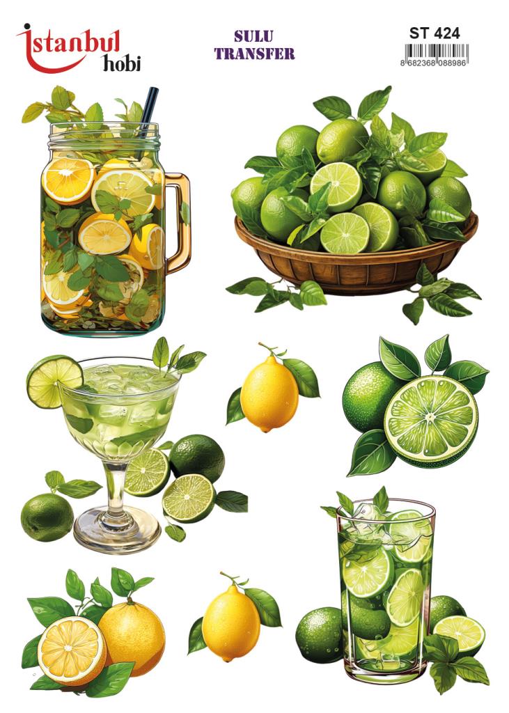 Sulu Transfer Kağıdı 25x35cm ST-424