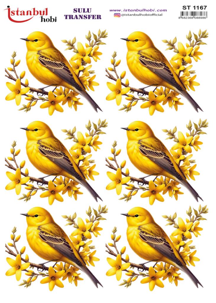 Sulu Transfer Kağıdı 25x35cm ST-1167